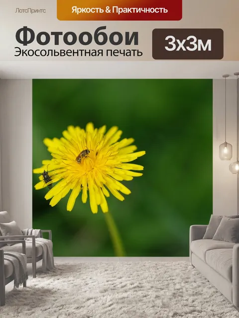 Фотообои Цветы