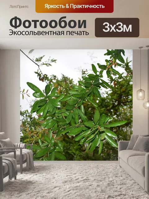 Фотообои Дерево