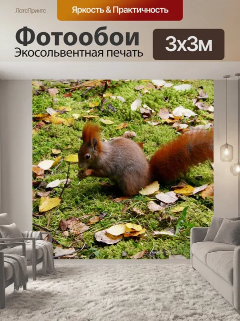 Фотообои Белка
