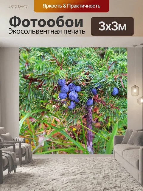 Фотообои Лес