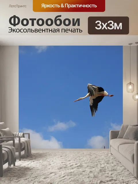 Фотообои Птица