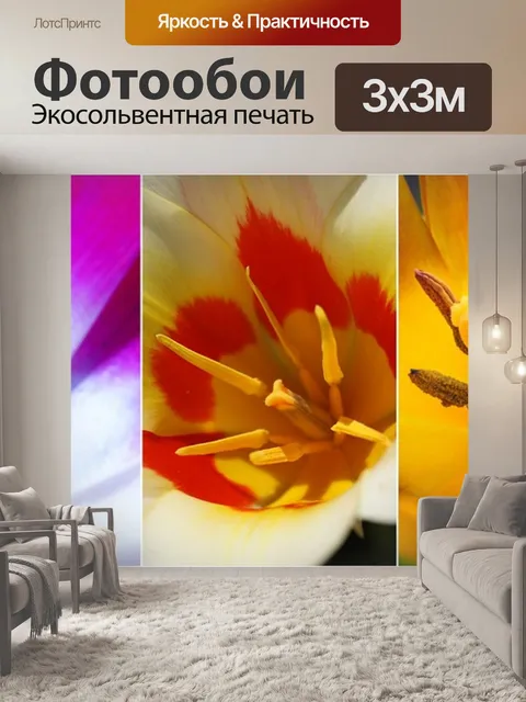 Фотообои Тюльпаны
