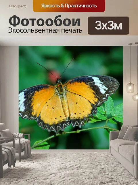 Фотообои Красивая бабочка
