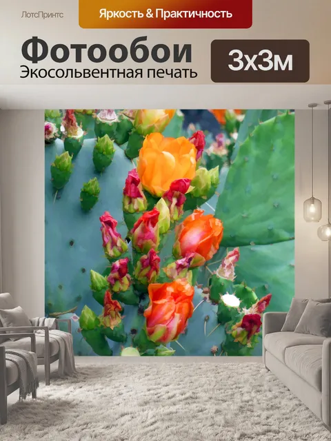 Фотообои цветущий кактус