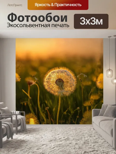 Фотообои мать-и-мачеха, обернутая в кружево из одуванчиков с семенами, вечерняя золотая час, макрофотография…