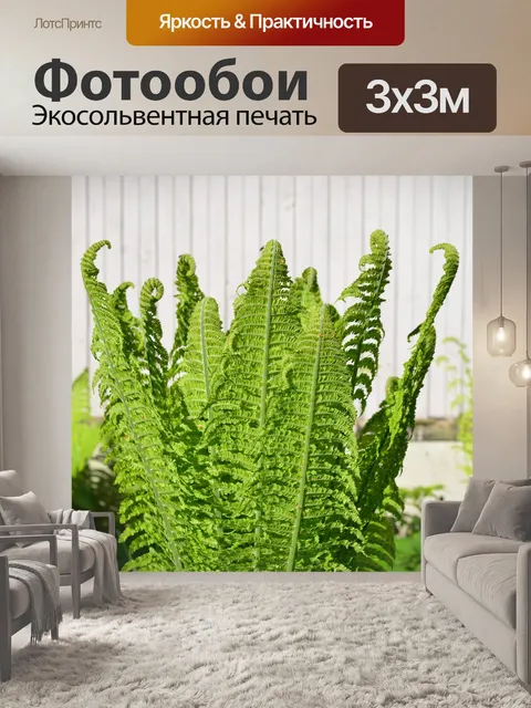 Фотообои Папоротник