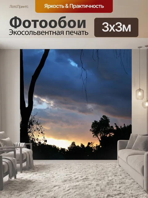 Фотообои мертвое дерево с заходом солнца
