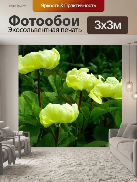 Фотообои Пионы