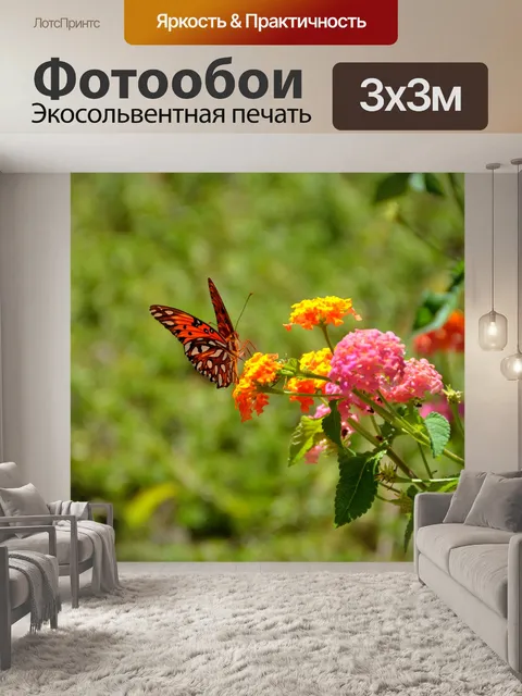 Фотообои Gulf Fritillary Бабочка
