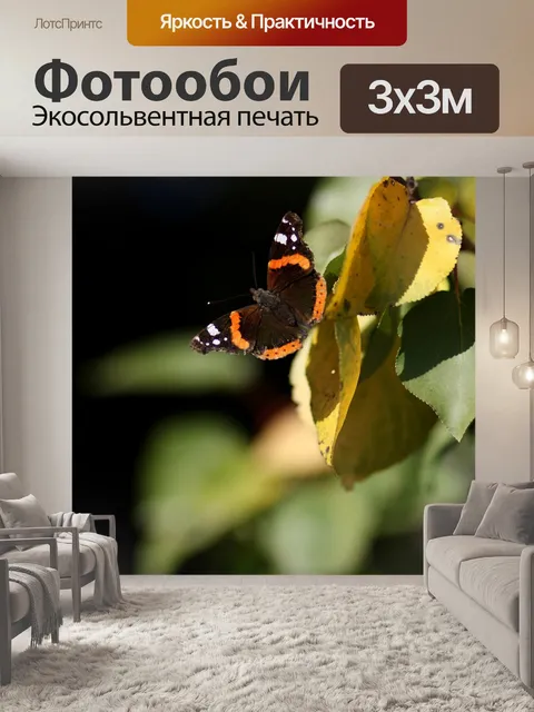 Фотообои Бабочка