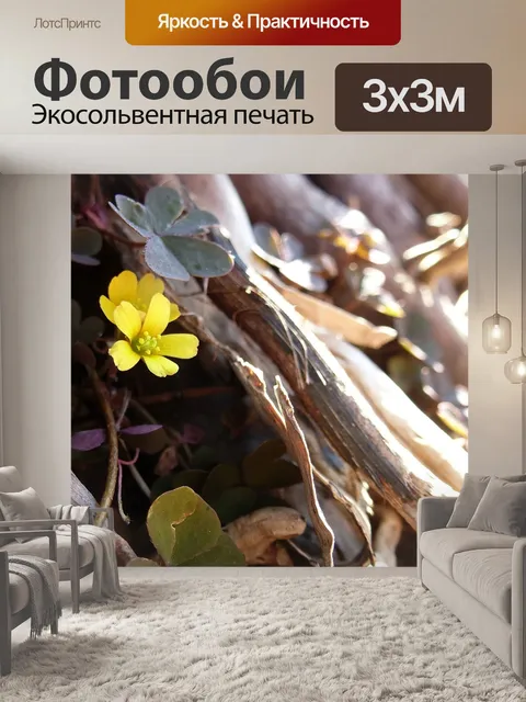 Фотообои Цвести
