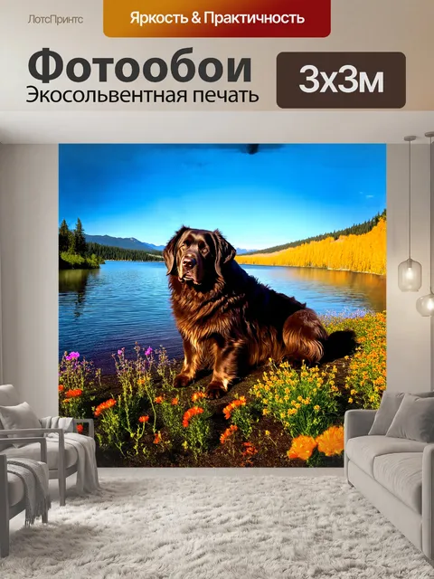 Фотообои ньюфаундленд, величественная собака с необычной густой шерстью, мирно лежит на берегу озера, солнце мягко…