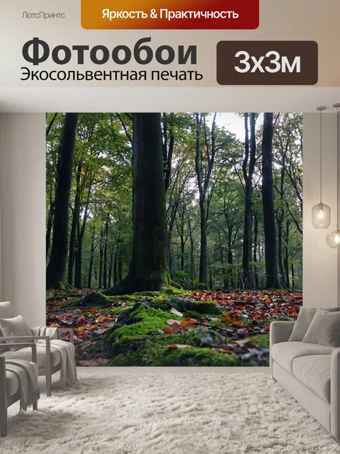Фотообои Лес