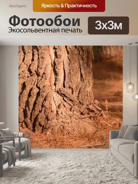 Фотообои Сосна