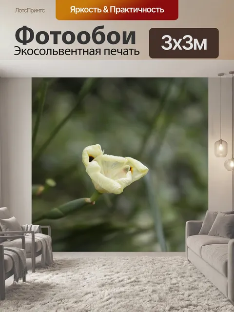 Фотообои Цветы