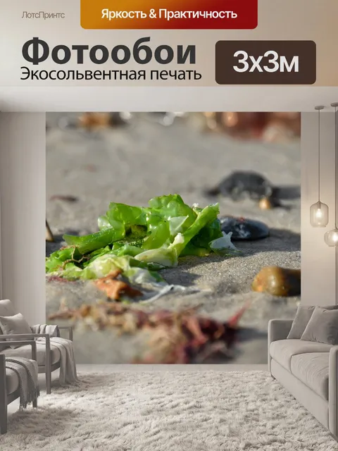 Фотообои Водоросли