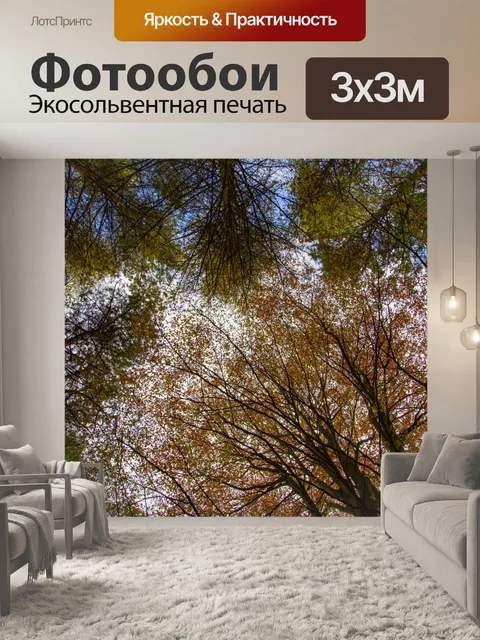 Фотообои деревья