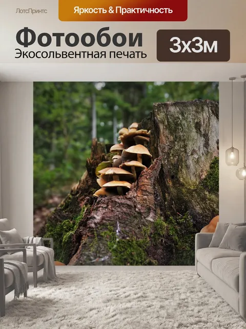 Фотообои Грибы