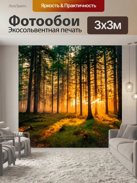 Фотообои вечерний лес с греющими лучами заката, проникающими сквозь деревья
