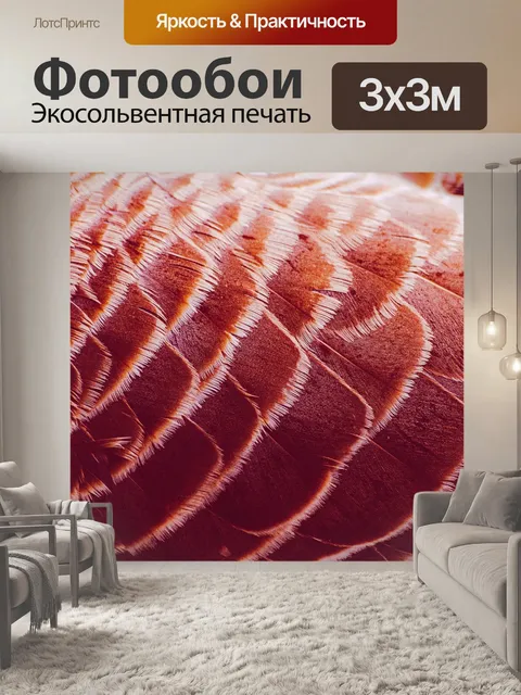 Фотообои Перья