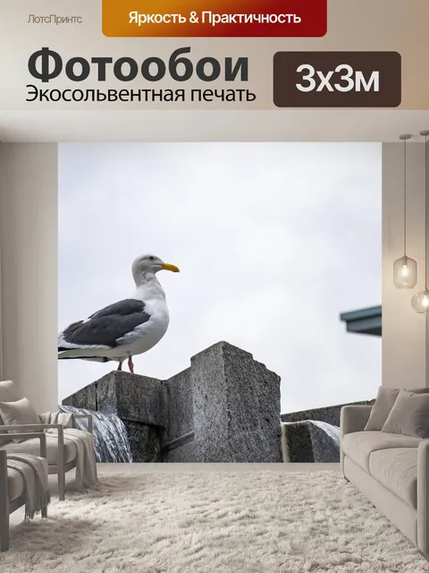 Фотообои Чайка