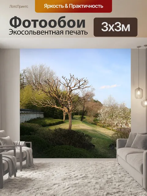 Фотообои Дерево