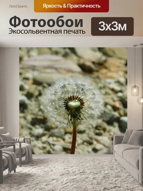 Фотообои Осот огородный