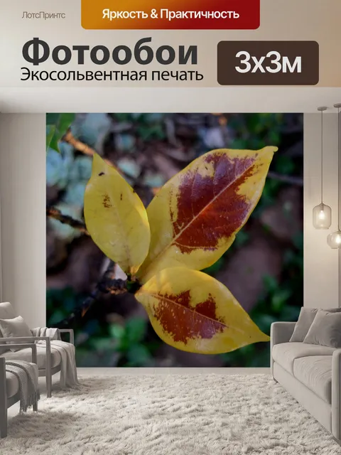 Фотообои Остатки осень, желтые листья