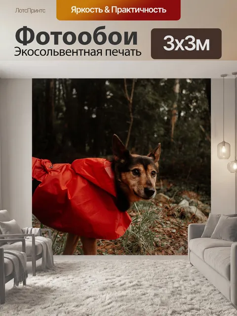 Фотообои Собака