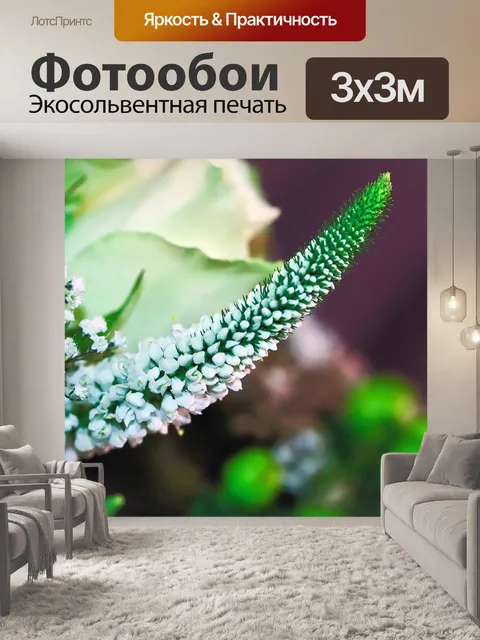 Фотообои Цветы