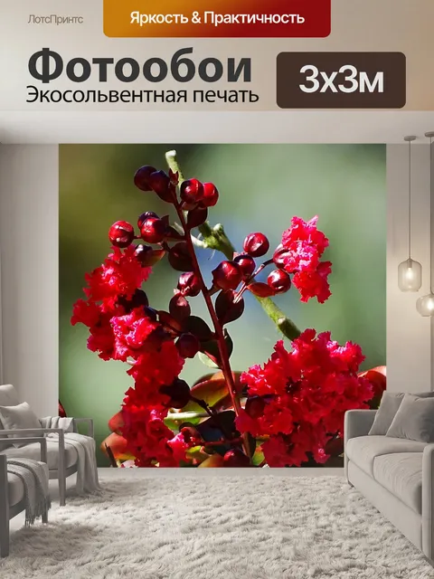 Фотообои Ягоды