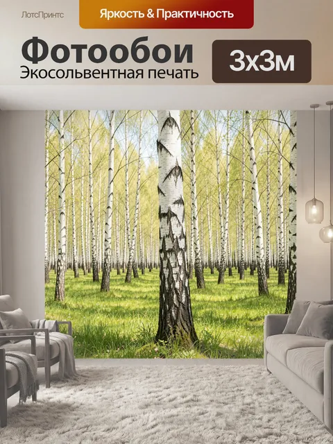 Фотообои Березовая роща весной
