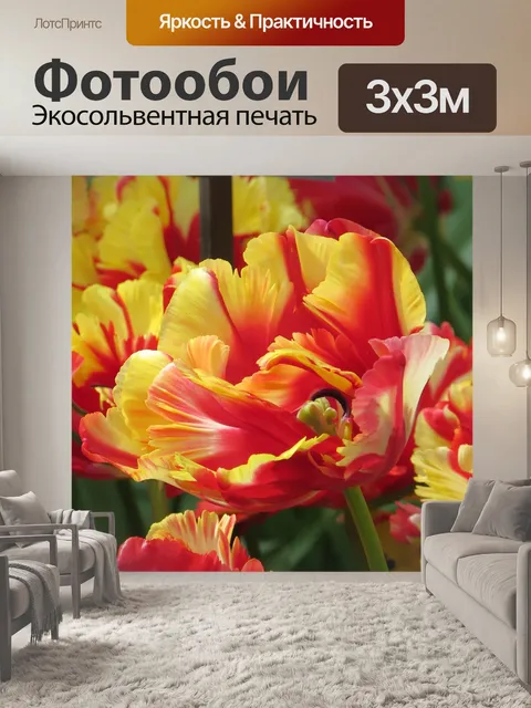 Фотообои Тюльпаны