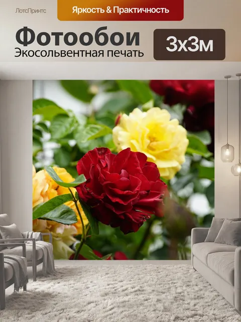 Фотообои Розы