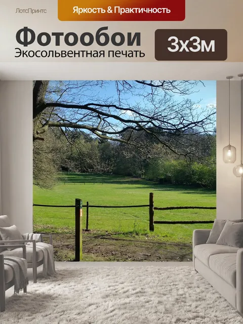 Фотообои Лес