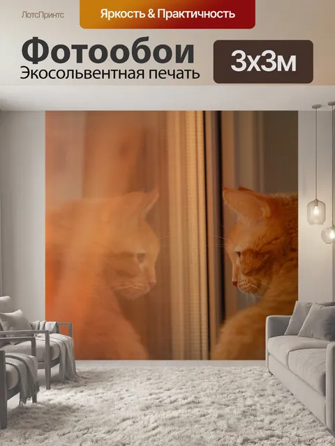 Фотообои Кошка
