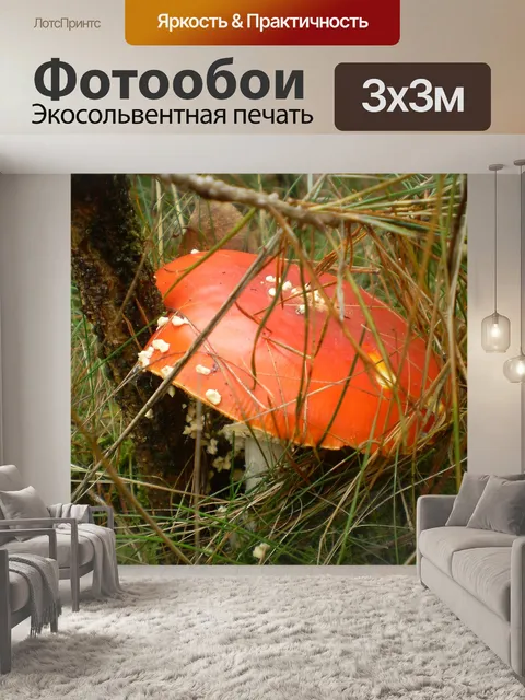 Фотообои Природа
