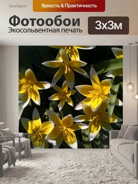 Фотообои Цветы
