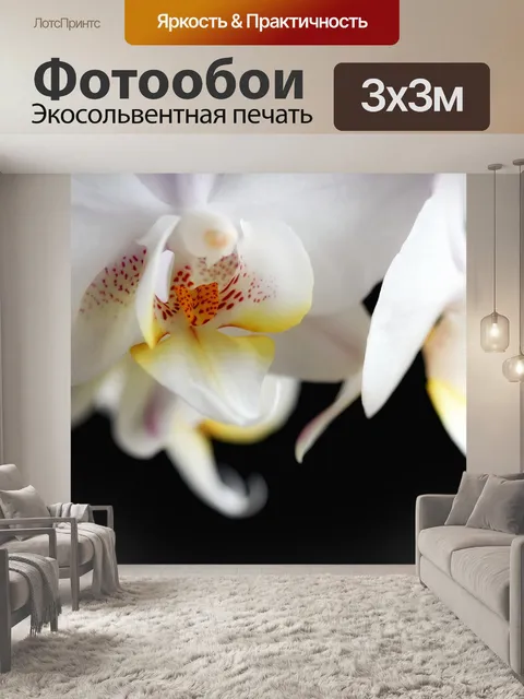 Фотообои Орхидея