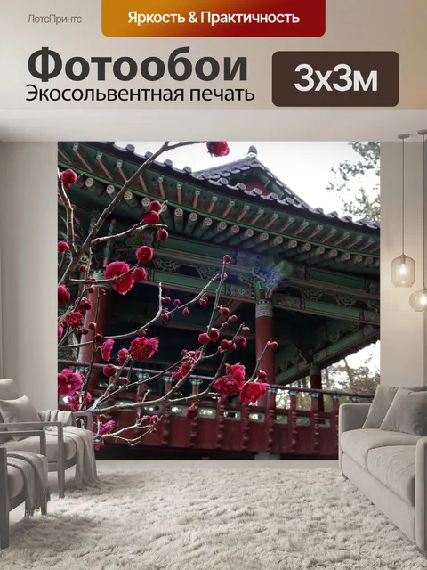 Фотообои Красный цветок абрикоса