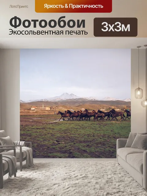 Фотообои Лошадь