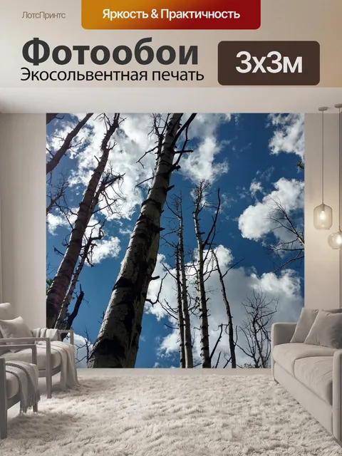 Фотообои Деревья