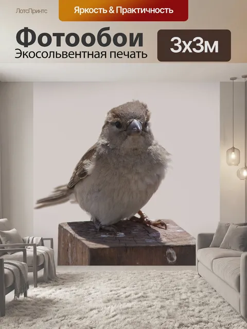 Фотообои Птица