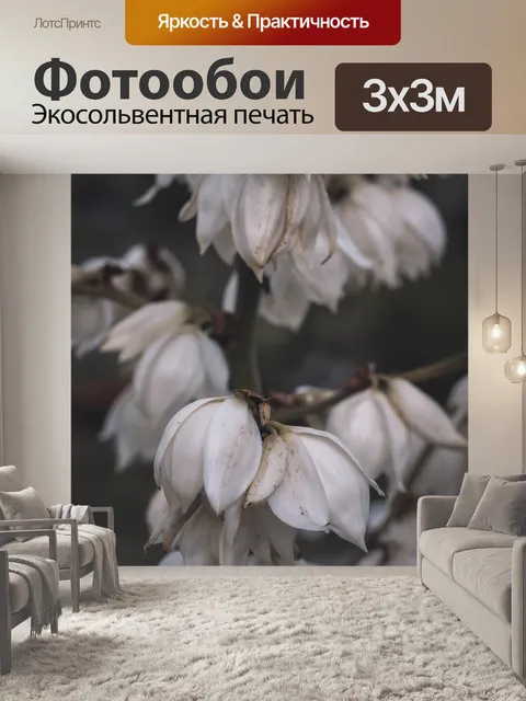 Фотообои Темный