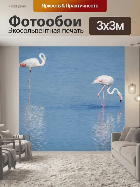 Фотообои Птицы