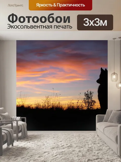 Фотообои Собака