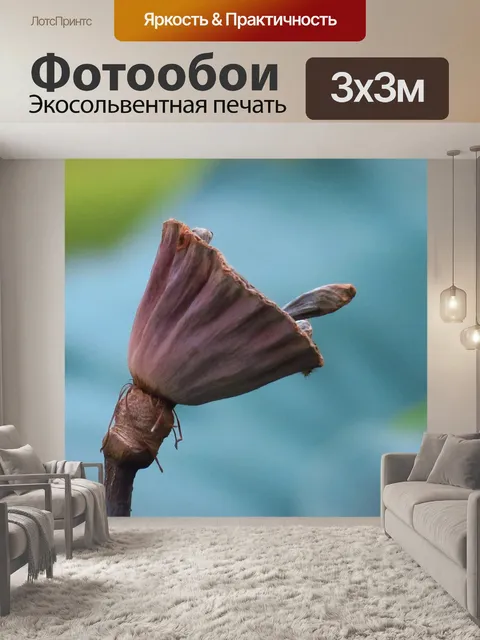 Фотообои Цветок