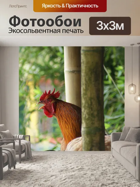 Фотообои Птицы