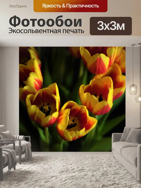 Фотообои Тюльпаны