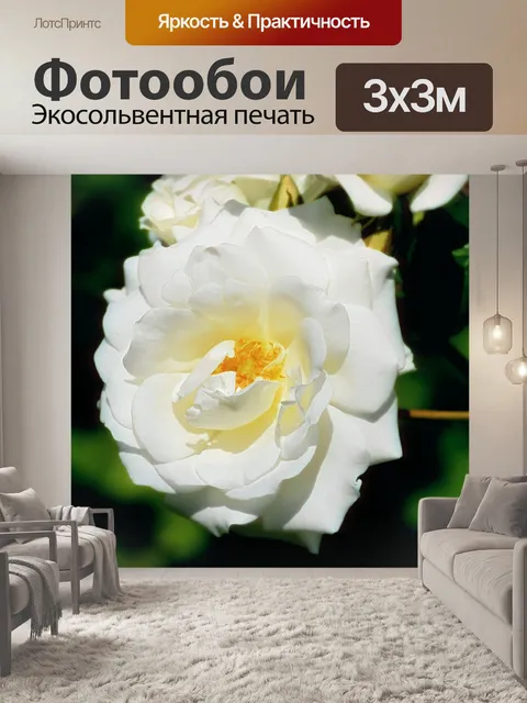 Фотообои Розовый